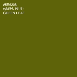 #5E6208 - Green Leaf Color Image